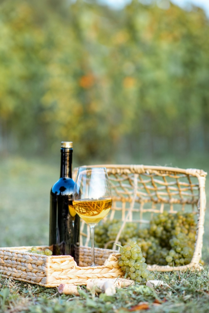 wine-glass-and-bottle-with-grapes-on-the-winyard.jpg